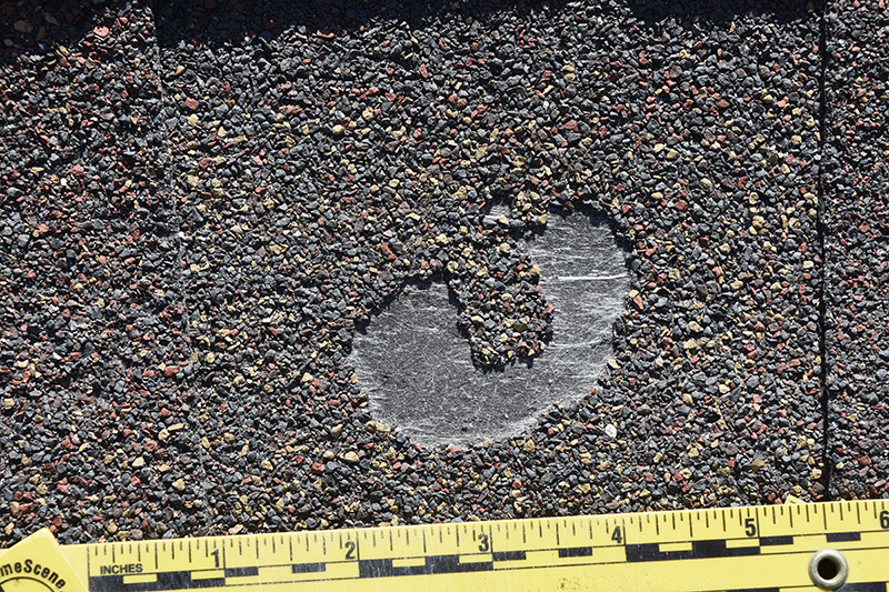 circular pattern on residential roof shingle