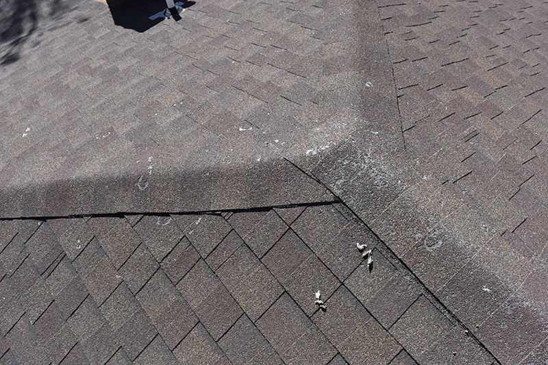Damage on residential roof shingles