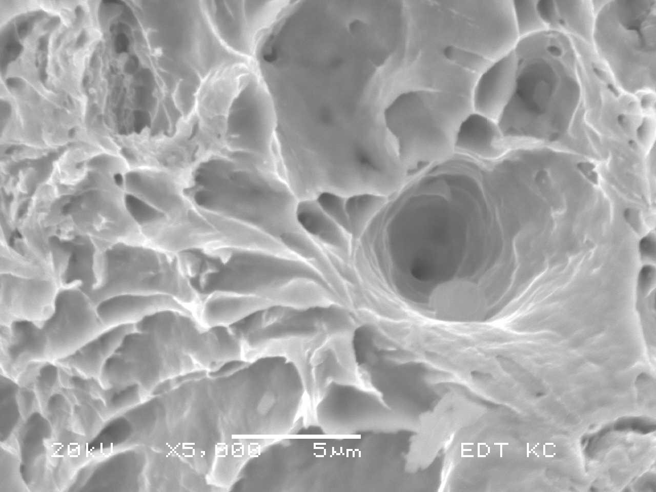 Figure 2    Dimple Rupture at X5,000