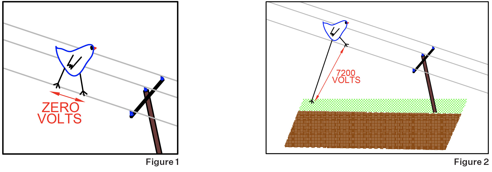 Figure 1, 2