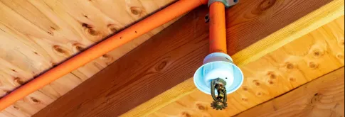 Fire suppression sprinkler head